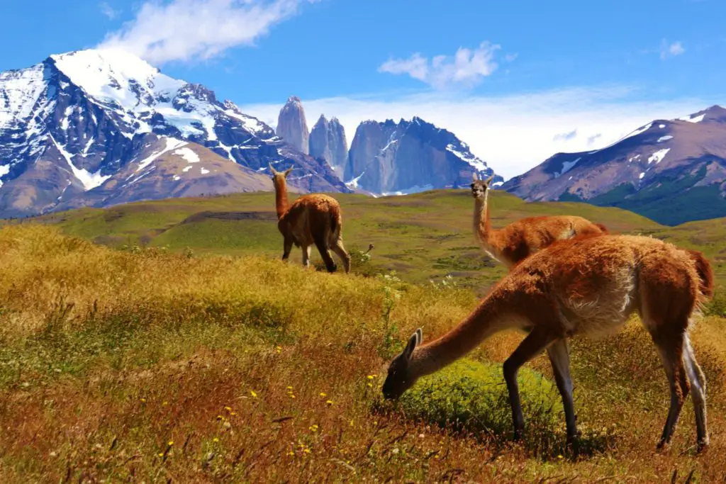 ULTIMATE TOP 10 MUST-SEE HIGHLIGHTS OF SOUTH AMERICA