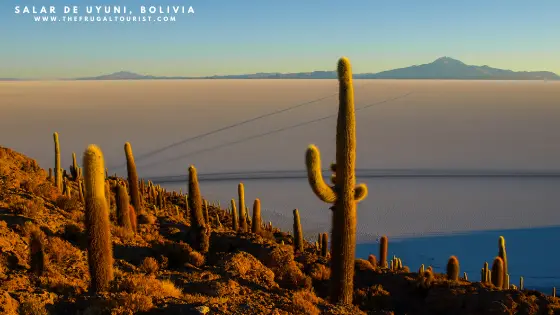 TOP 10 HIGHLIGHTS OF THE 3-DAY SALAR DE UYUNI TOUR IN BOLIVIA (Isla Incahuasi)