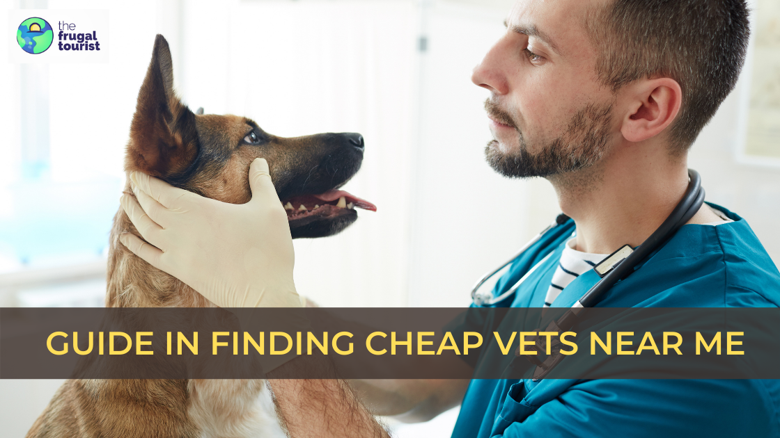 Guide on How to Find Cheap Vets Near Me